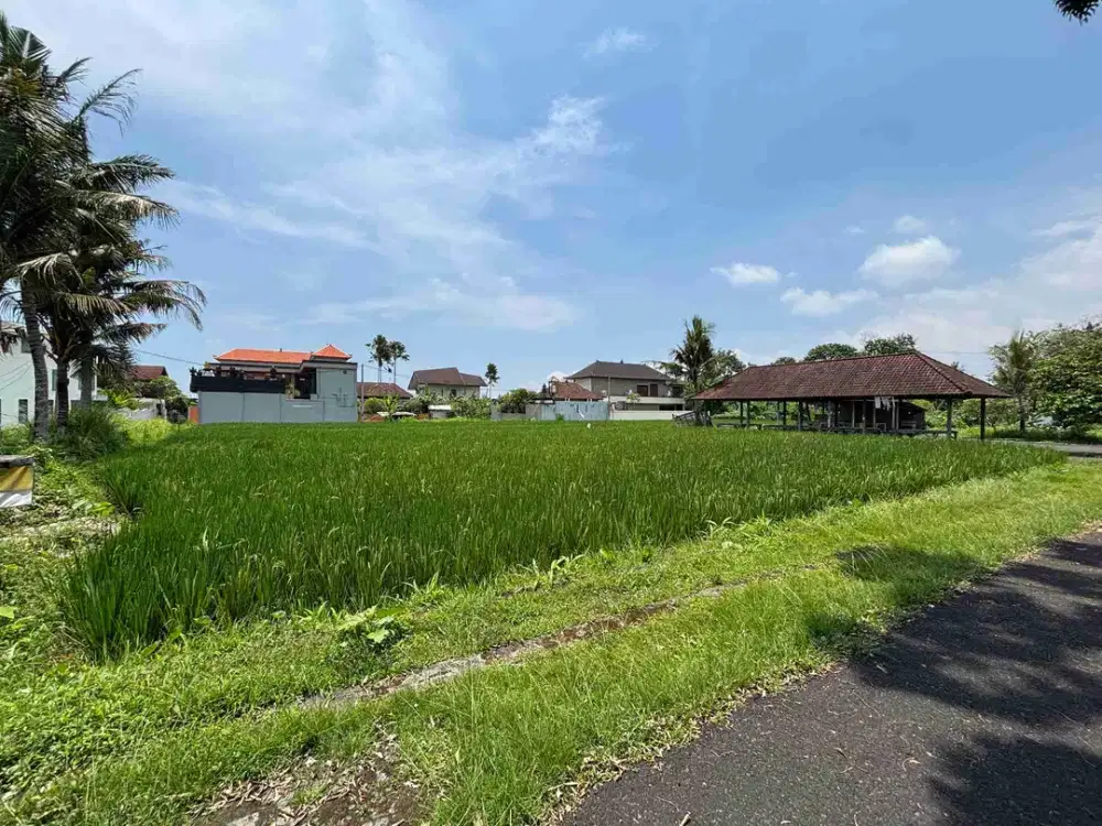 DIJUAL TANAH KEMENUH GIANYAR UBUD