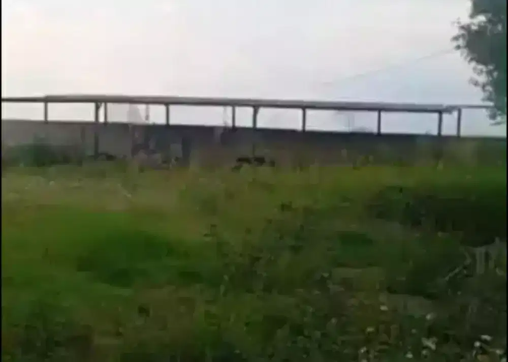 LAHAN DI TERS JLN JAKARTA