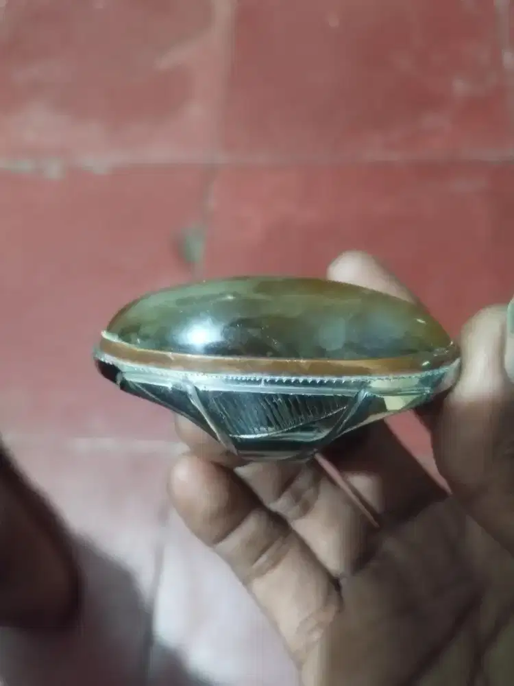 Batu pandan sisik betok