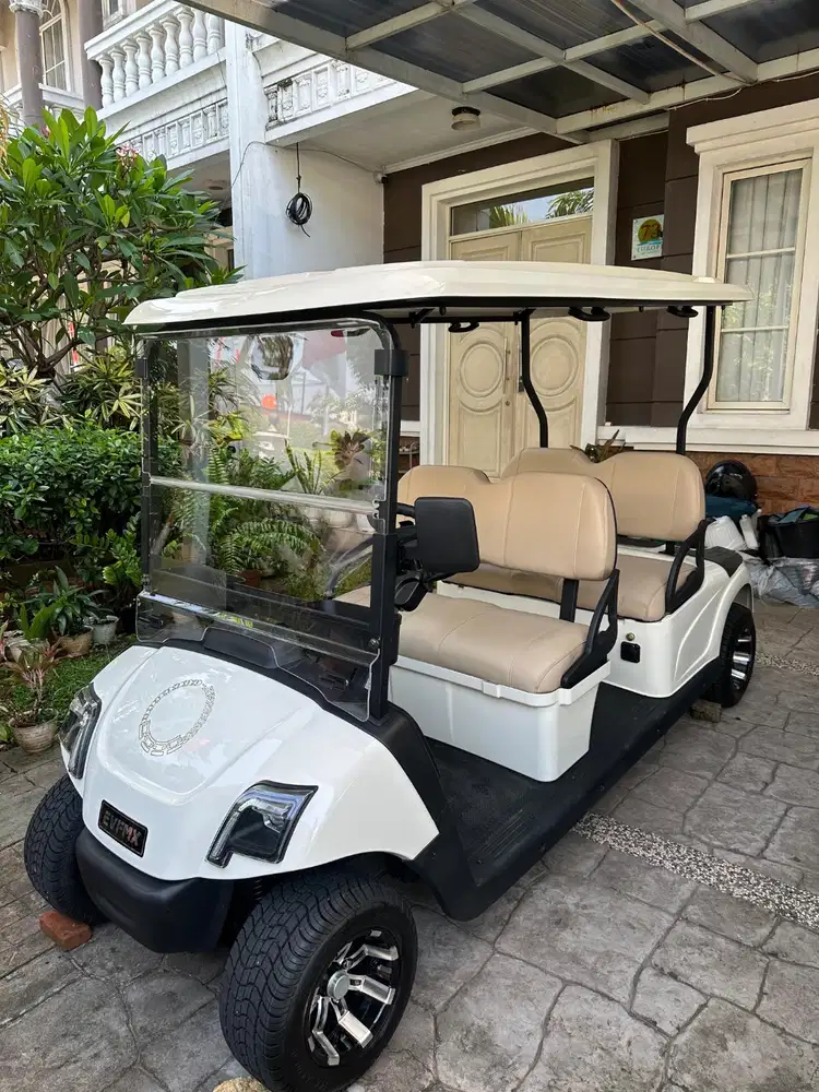 Buggy Golf 4 Seats EV Carr