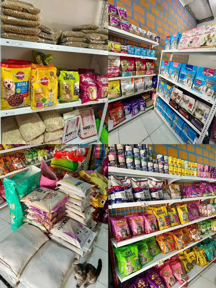 Lowongan Kerja Petshop
