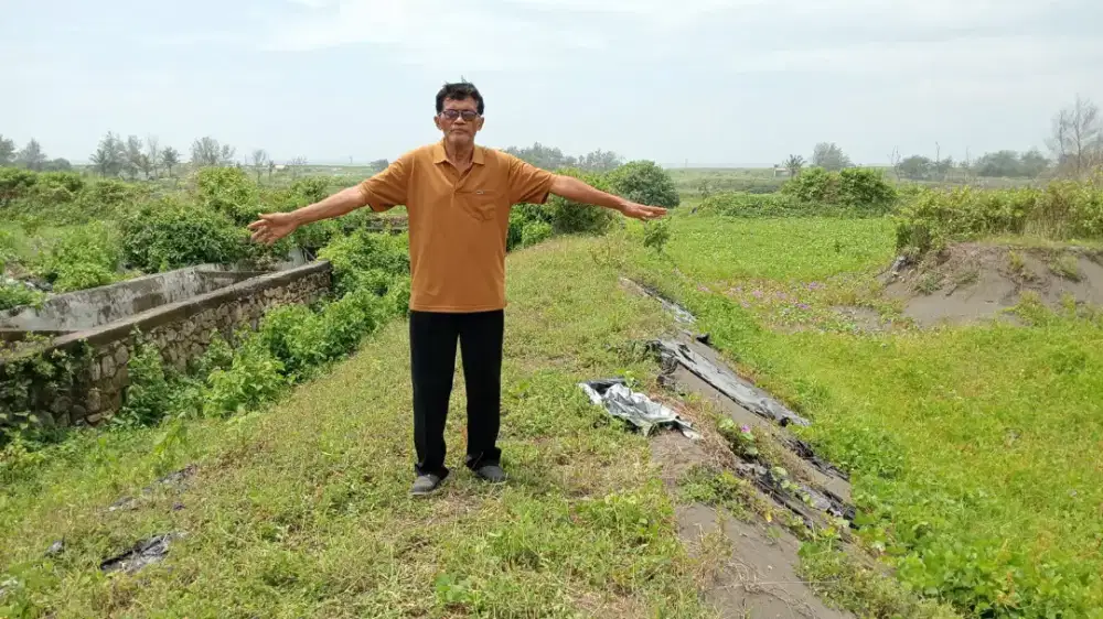 Jual tanah di Grabag Purworejo