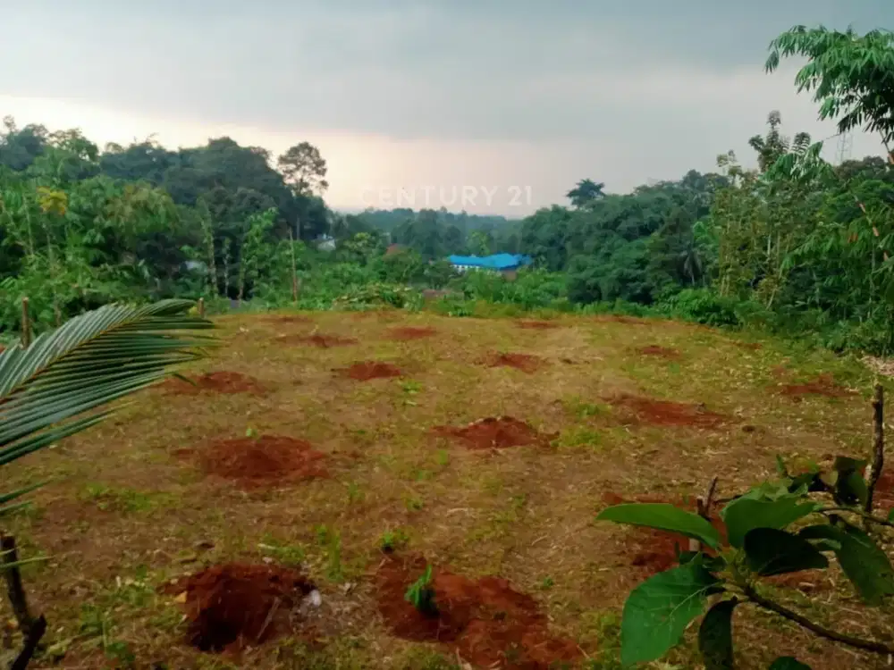 TANAH DI CEHERANG DRAMAGA BOGOR