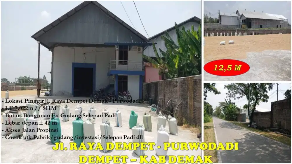 Tanah utk Pabrik di Dempet Demak nempel Jl. Raya Dempet -Purwodadi