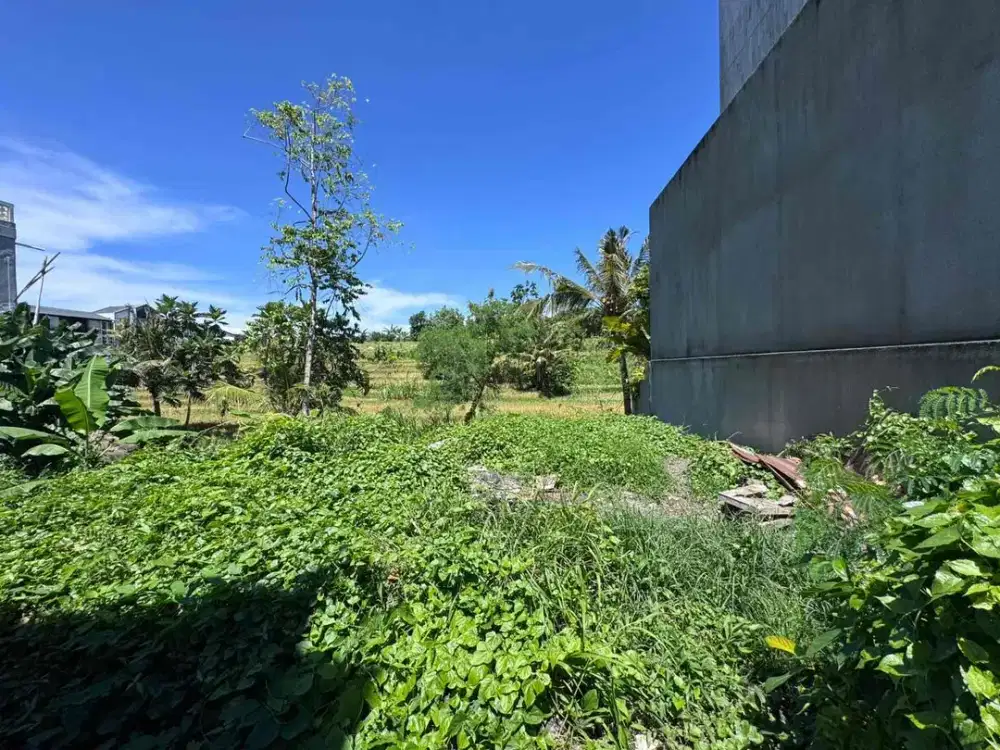 Dijual - Tanah Plot Kecil view Sawah Jalur hijau dan sungai
Lokasi Buduk