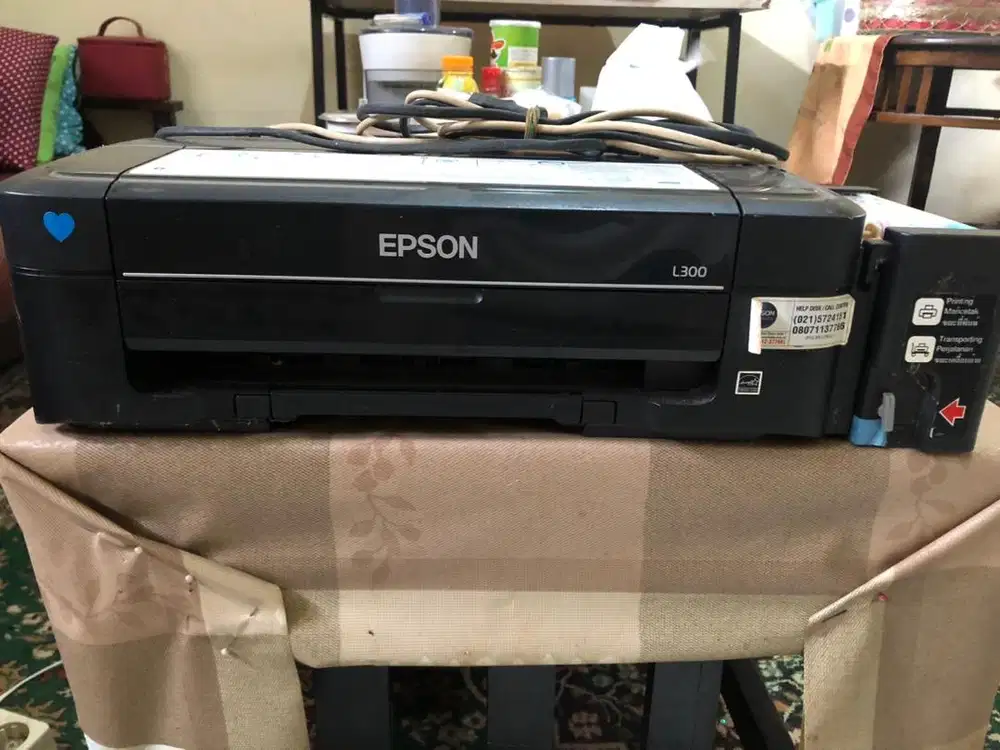 Printer Epson L 300