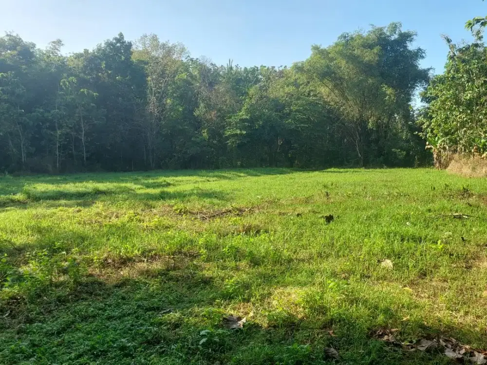 Jual Cepat! Tanah Strategis Bangunjiwo, Dekat UMY