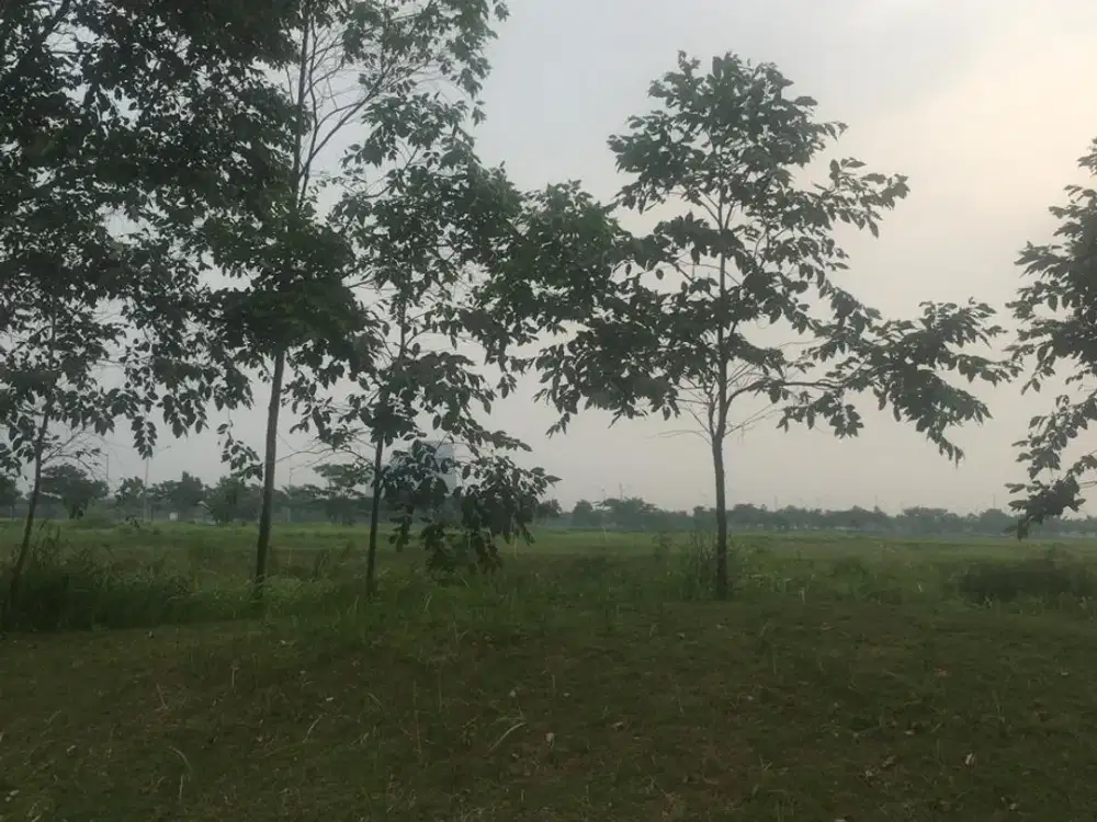 Thamrin PIK2 Tanah Komersial Hoek Seberang IDD Disewakan Dijual Cepat