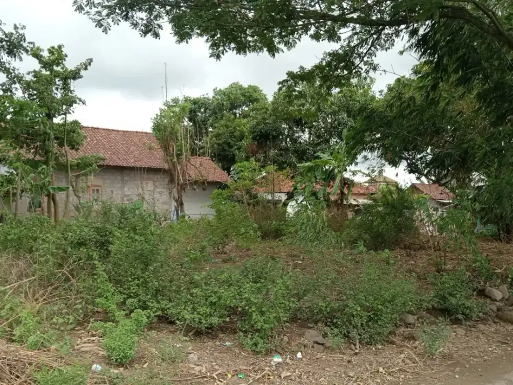 TANAH PEKARANGAN VIEW HAMPARAN SAWAH MANISRENGGO