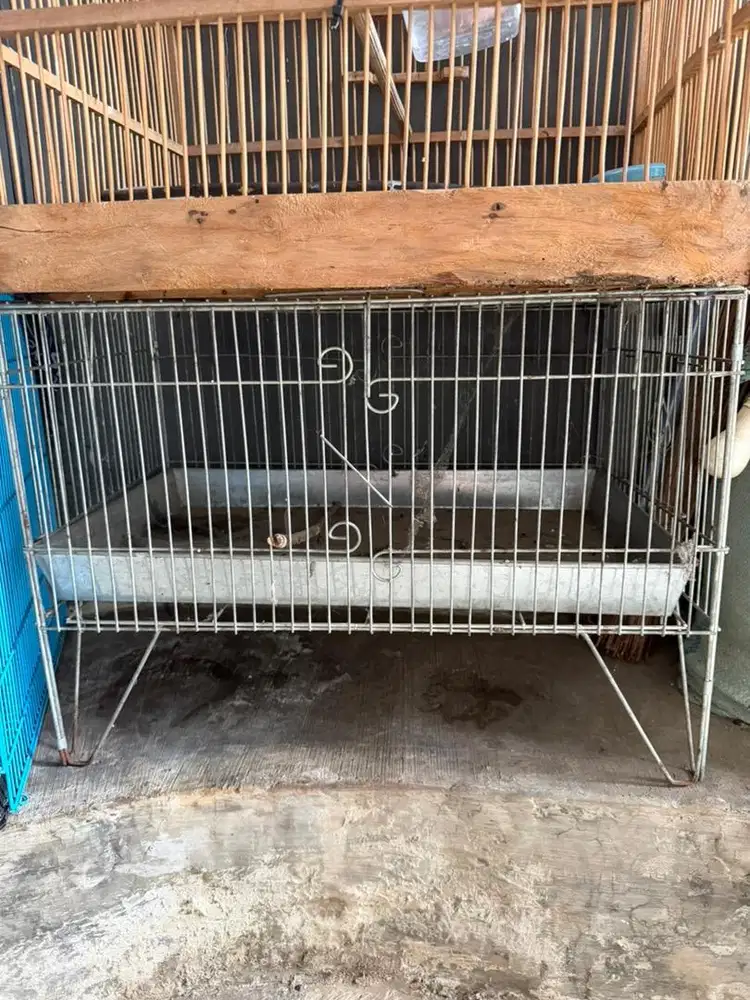 keramba kramba mandi murai cucak ijo dll