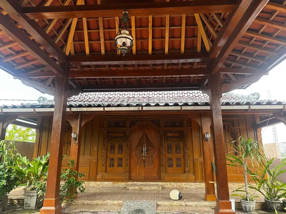 Homestays/di sewakan