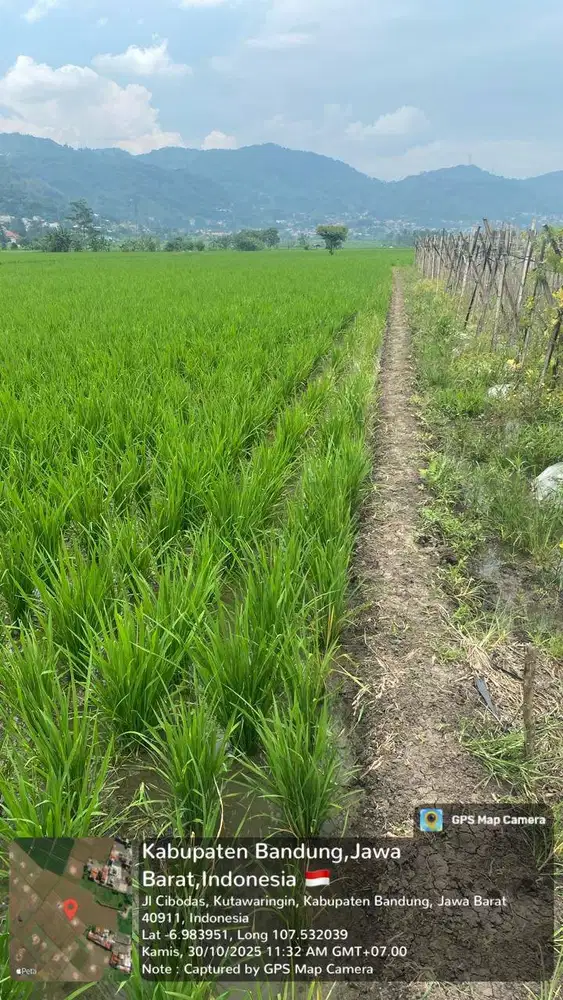 Dijual Tanah Cepat Butuh Uang