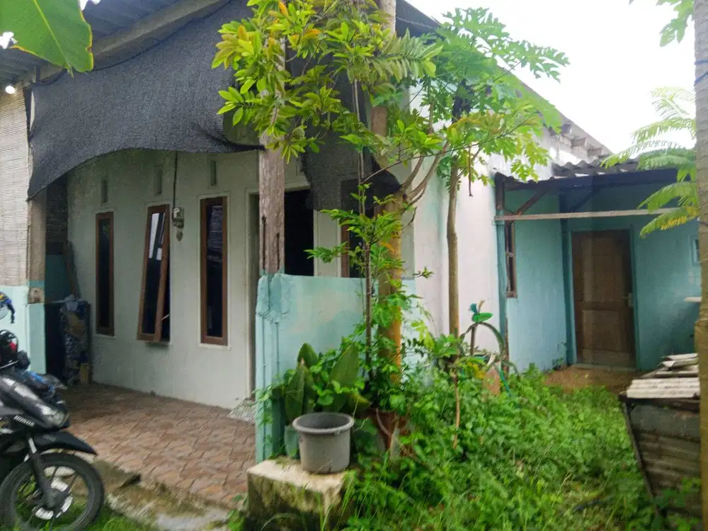 Dijual rumah Asri di Tulangan