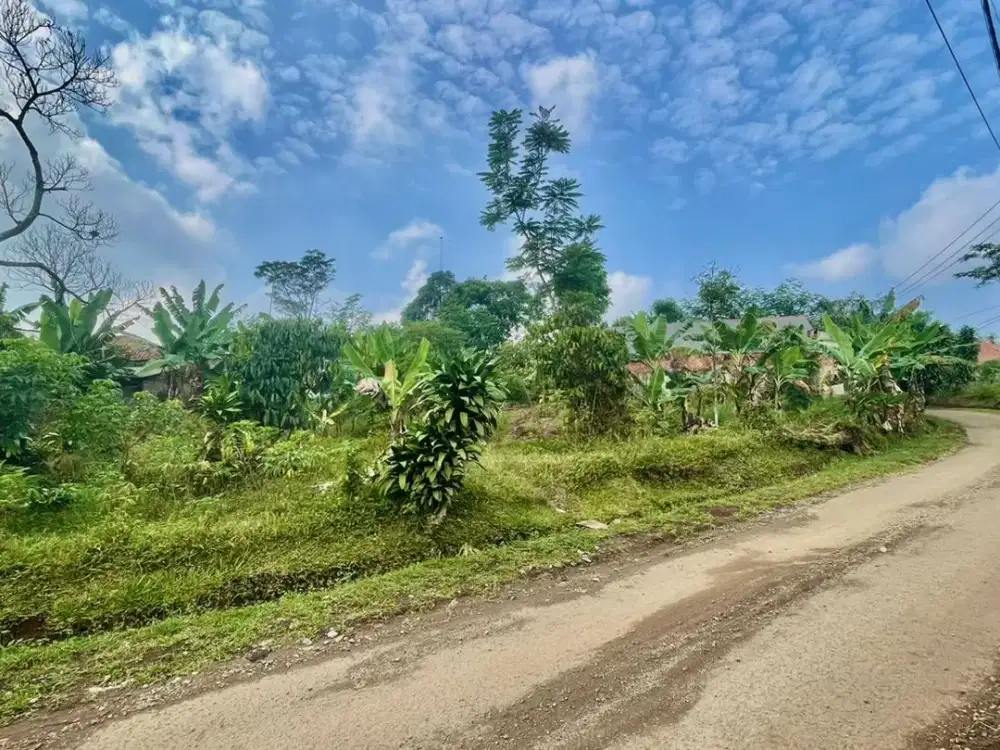 Dijual Murah Tanah Pinggir Jalan Papasan Mobil di Bojong Purwakarta