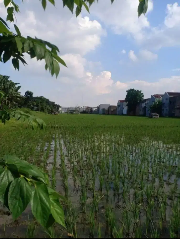 Lahan Sawah & Kebun 17.000 m², Lokasi Strategis Kota – Harga Nego