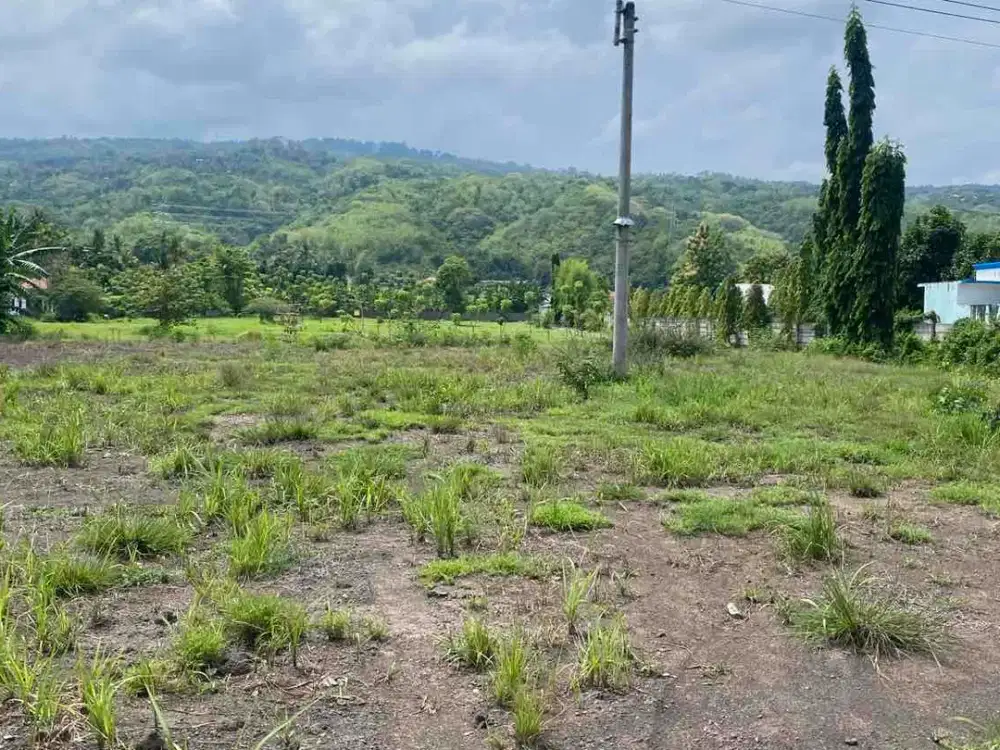 jual tanah Lovina Singaraja dekat pantai Lovina dekat bandara utara pinggir jalan utama