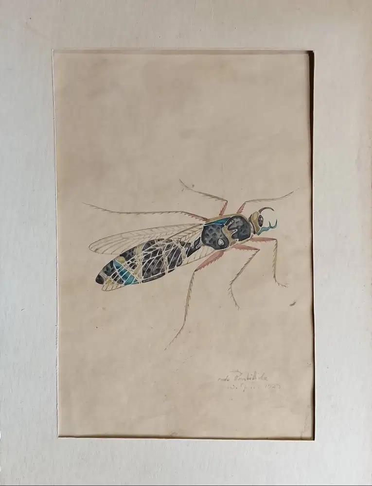 Walter Spies, 4 insect studies 1922