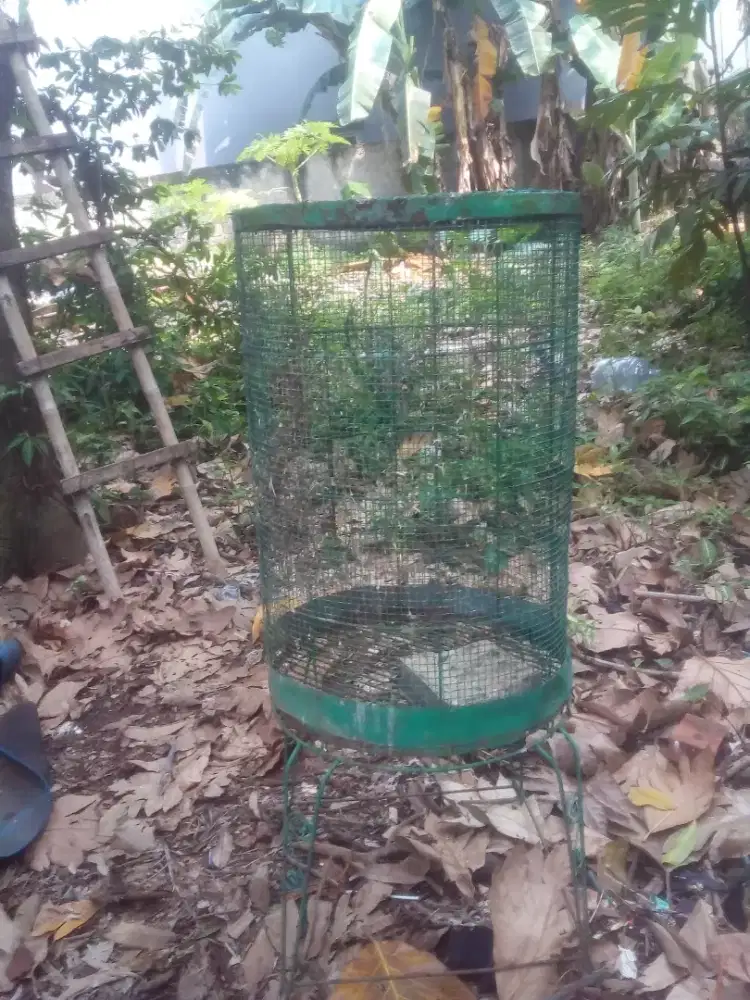 Kandang burung bagus