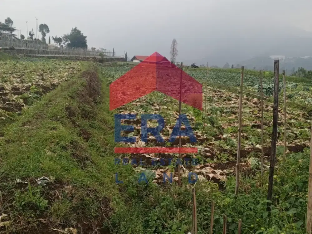 Tanah Jual di Cafe Sawah Pujon Kidul