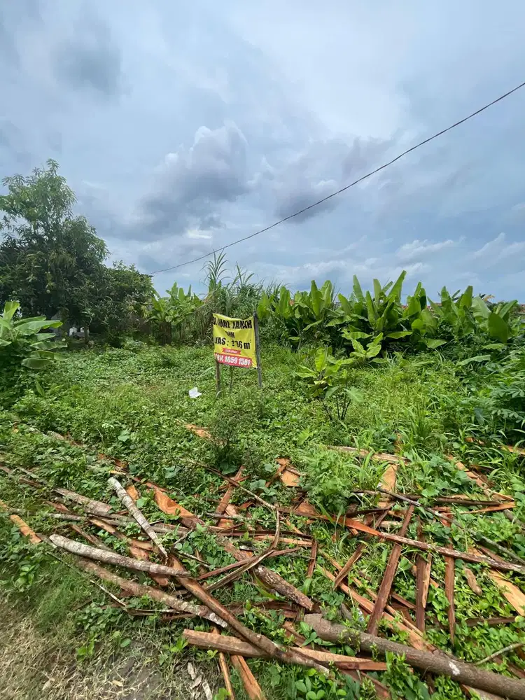 JUAL TANAH MURAH STRATEGIS DI PEKALONGAN