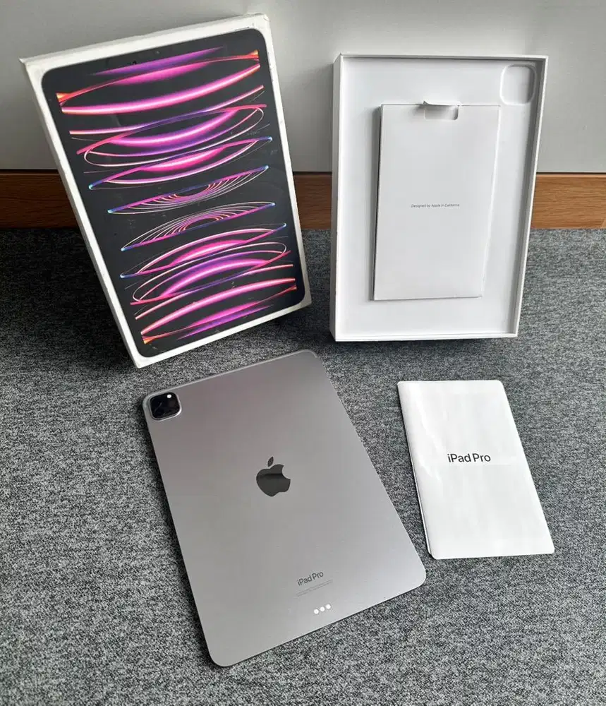 Ipad PRO M2 256GB 11 inch WiFi Fullset Mulus Normal No Minus