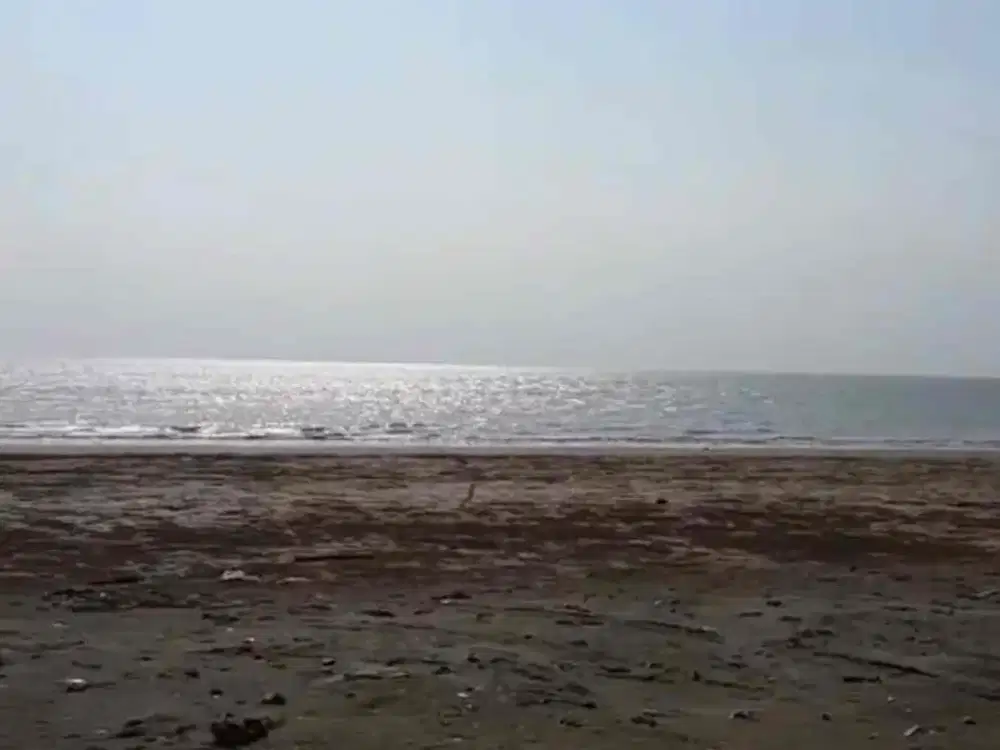 DIJUAL TANAH PREMIUM di pinggir pantai jalan di Tanjung Lesung, Panimbang, Desa Tegal Papak