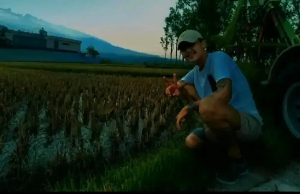 Cari pekerjaan Halal