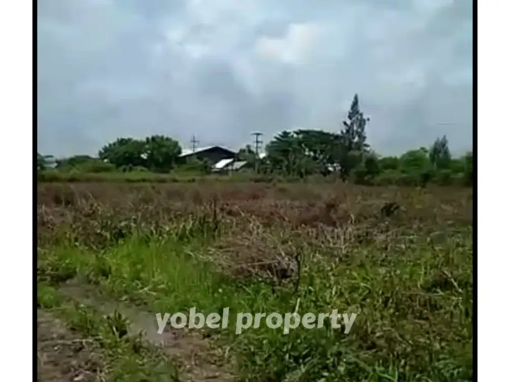 TANAH LUAS COCOK UNTUK INDUSTRI WIDANG TUBAN