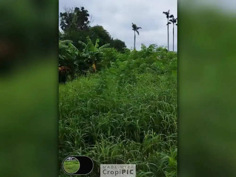 Dijual Tanah Darat Luas 9.425 M2 di Jalan Perjuangan Bekasi