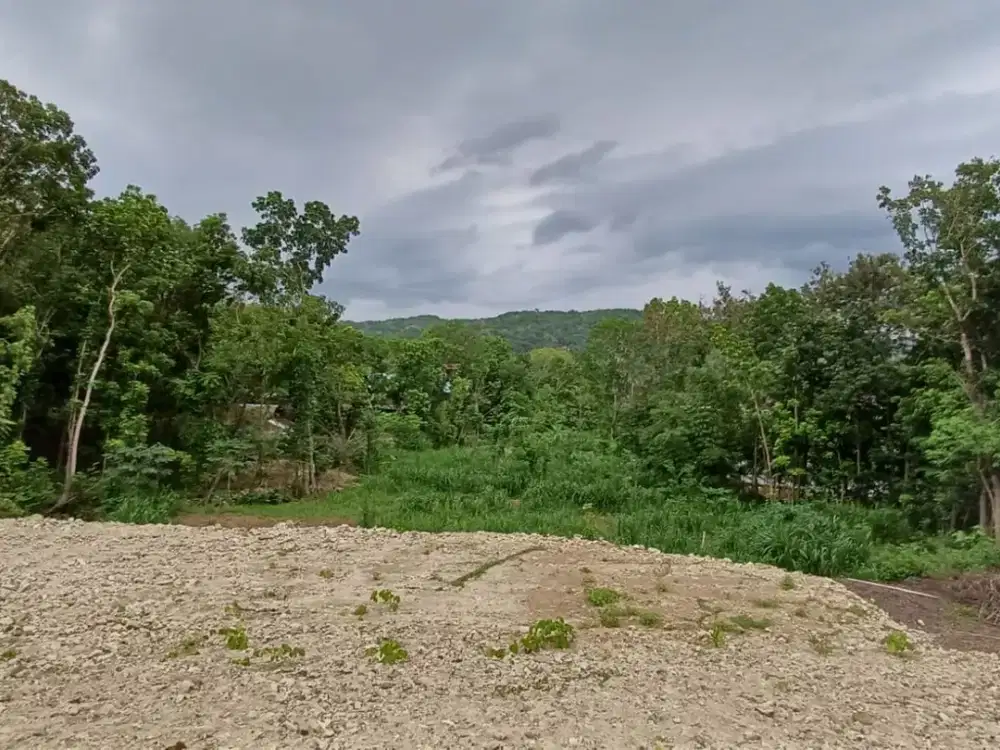 900 Jtan/m Tanah Bantul 8 Menit Pasar Pleret SHM Pekarangan