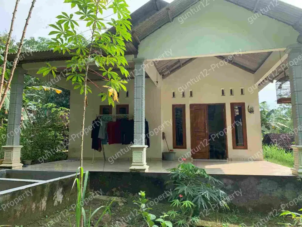 Jual Cepat Rumah siap Huni di Nglipar Gunungkidul Yogyakarta (Edisi butuh uang)