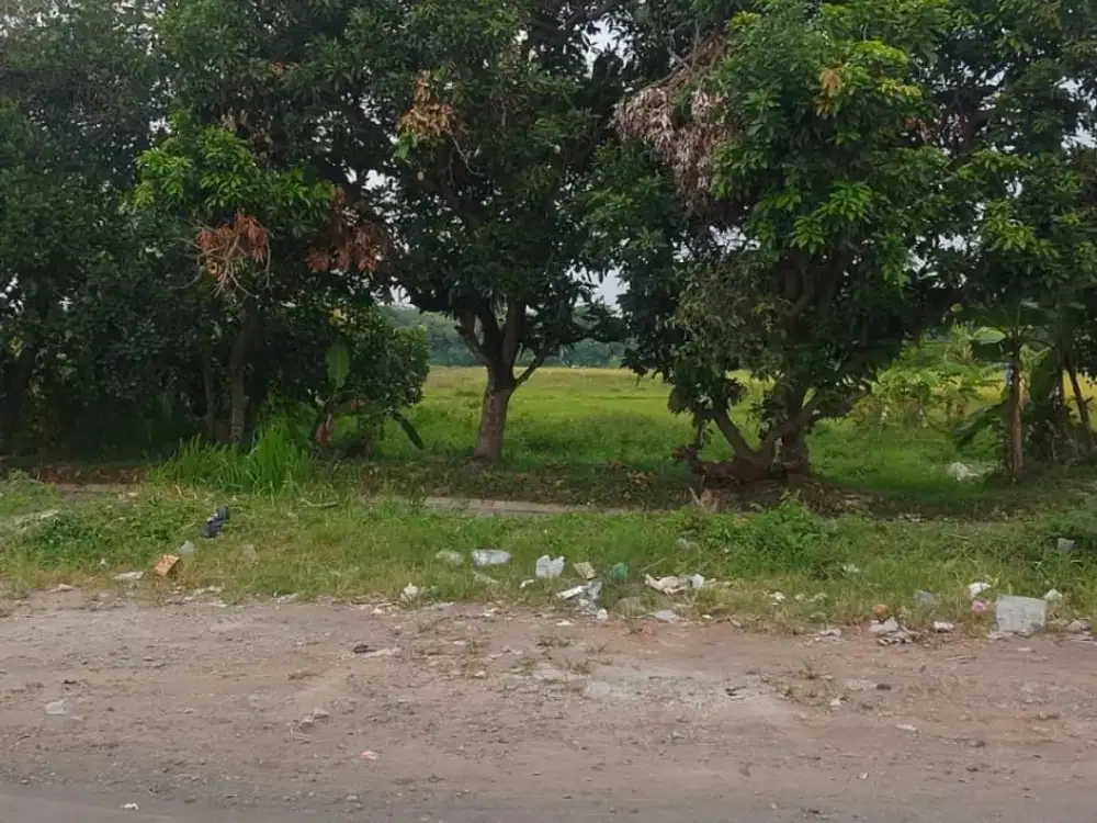 Tanah di Jl.Arya Salingsingan dekat Pabrik Kecap dan Saus Surabraja