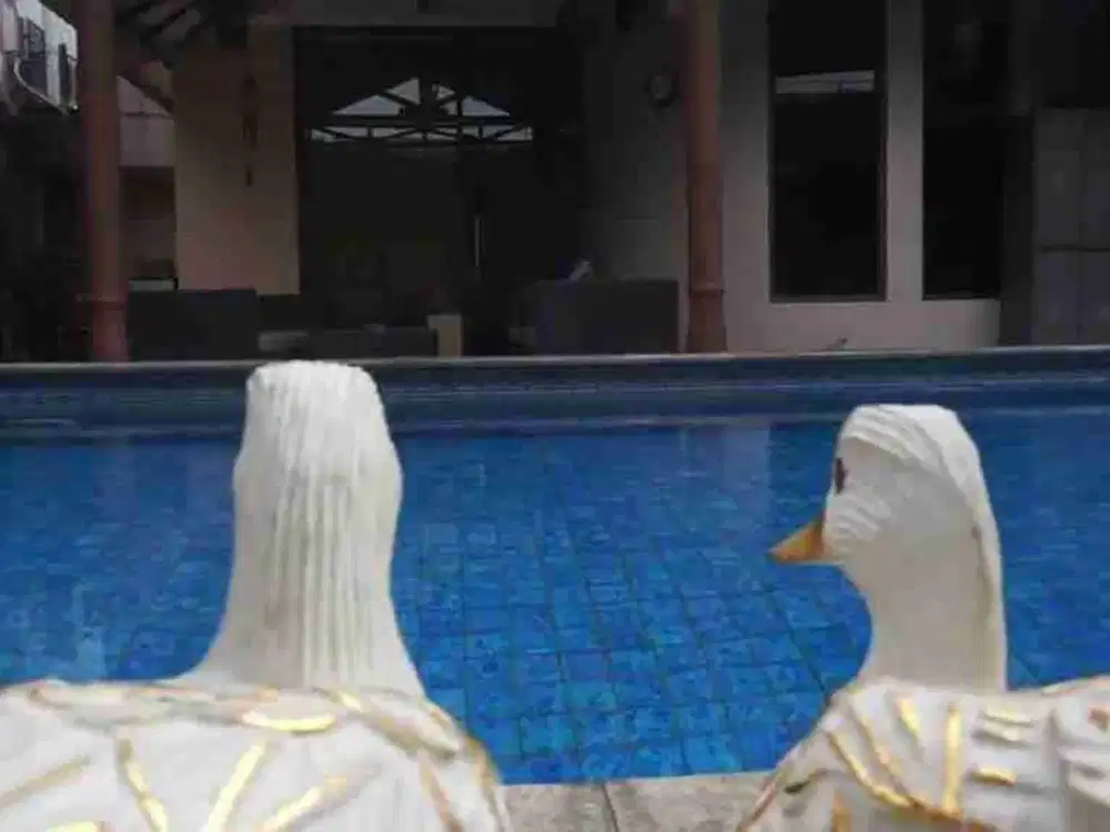 dijual rumah kebayoran baru ada private pool