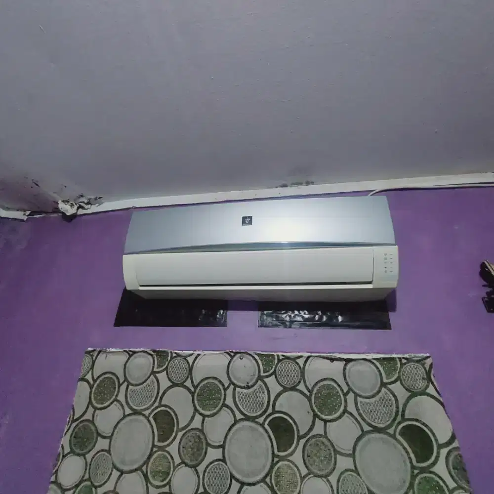 AC Sharp ½ PK Minus