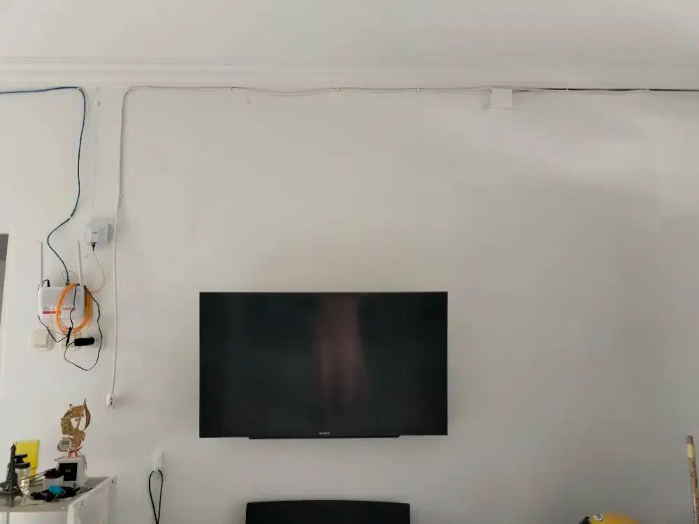 TV 42 inc Sonny Brvia