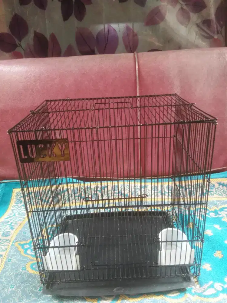 Kandang besi 32x22x29