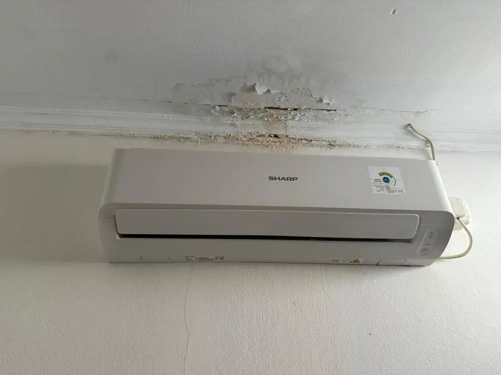 Ac sharp 1.700 nego tipis