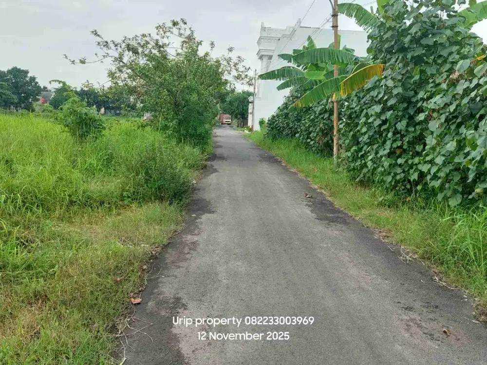 Dijual pekarangan di jalan melon karangasem solo