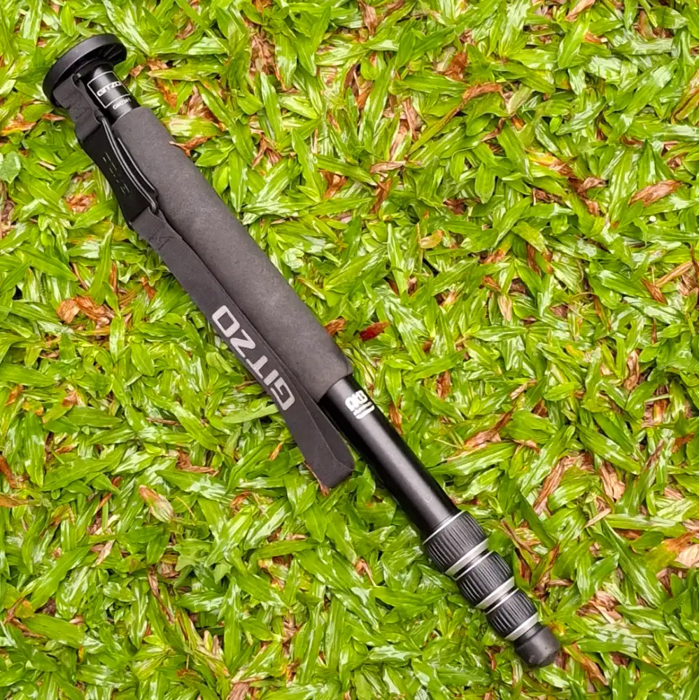 Monopod Gitzo GM2341