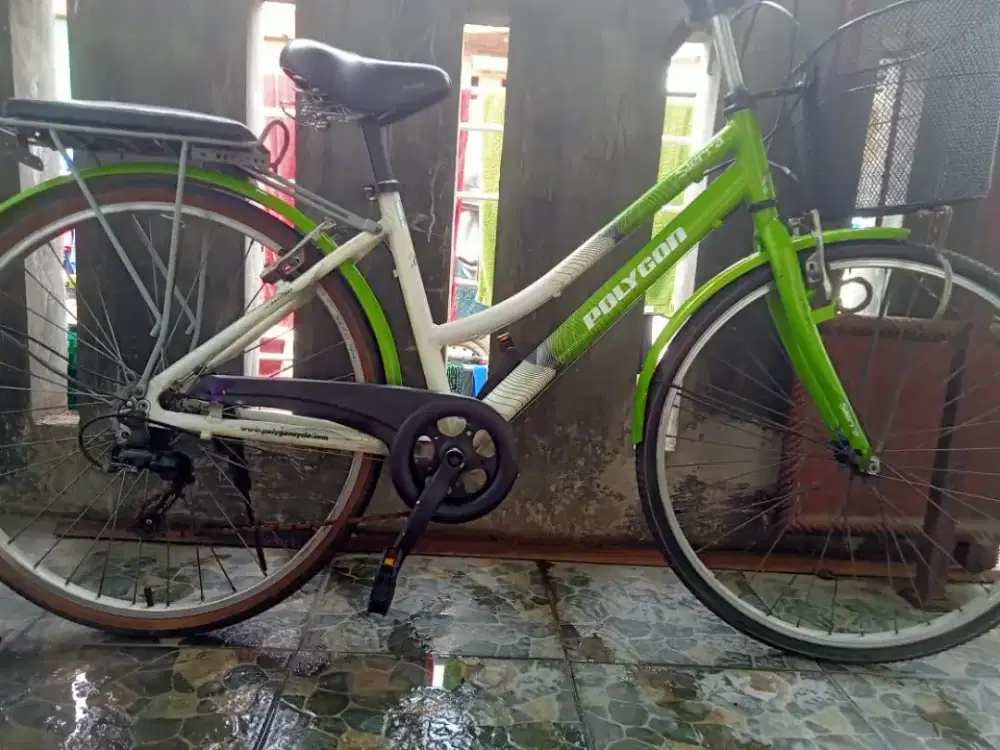 Polygon Sierra Frame Alloy