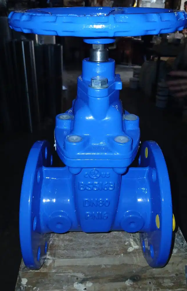 Gate Valve 80 mm 3 INCH LZ45X B80 ELMECH NRS, PN16, Flanged, Non-UL/FM