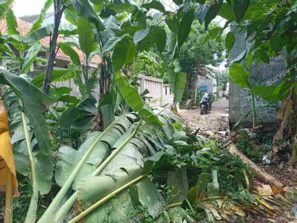 Tanah 400 m2 SHM  Startegis Di Area Kos Kosan Ekslusif Pondok Ranji - Bintaro