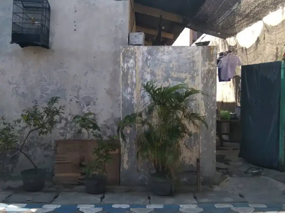 Di Jual Rumah Kost Simomulyo Sukomanunggal Surabaya Jual Murah