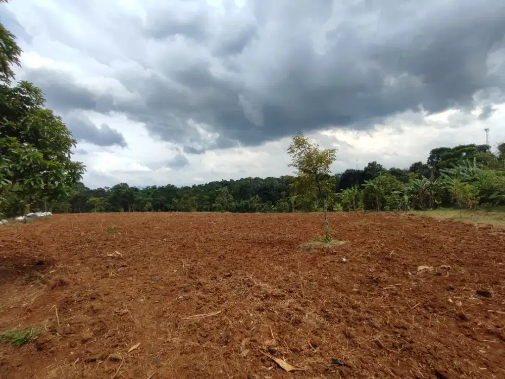 Oper alih tanah garap