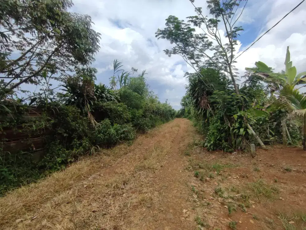 Oper Alih Tanah Garap