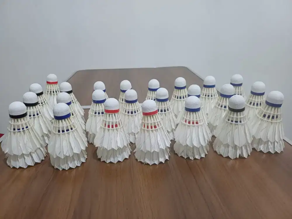 Suttle kock badminton