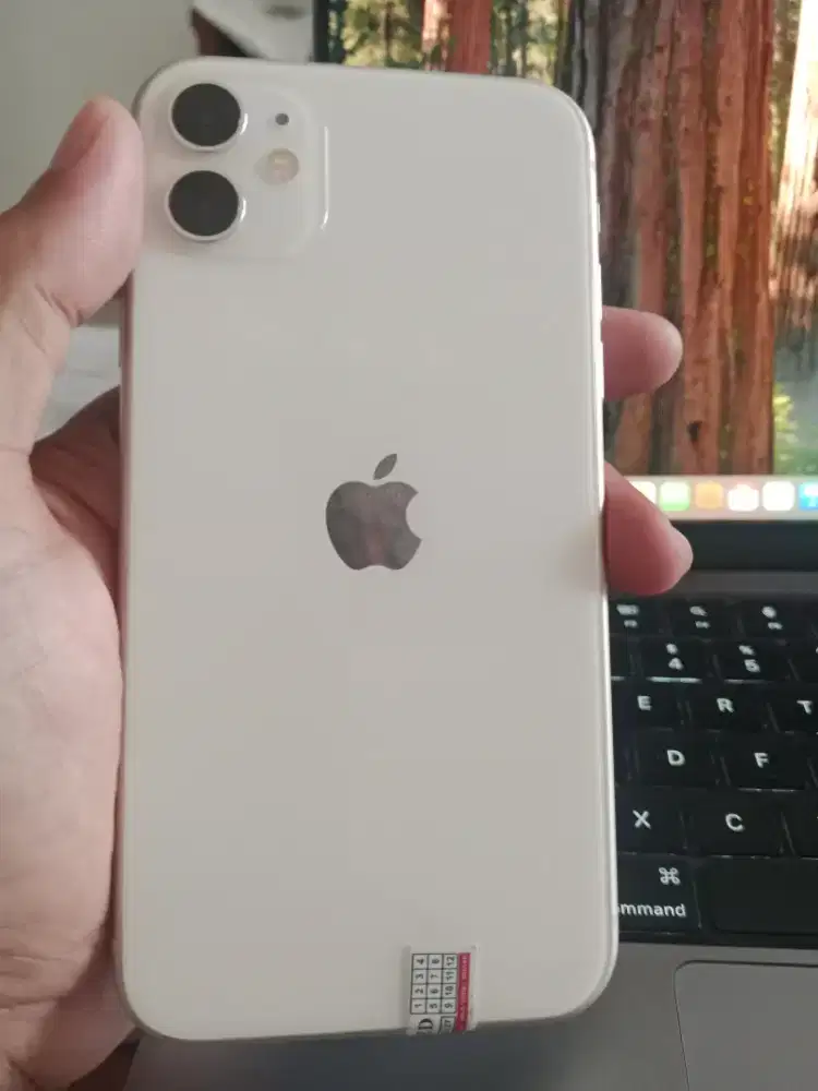 Iphone 11 murah aja