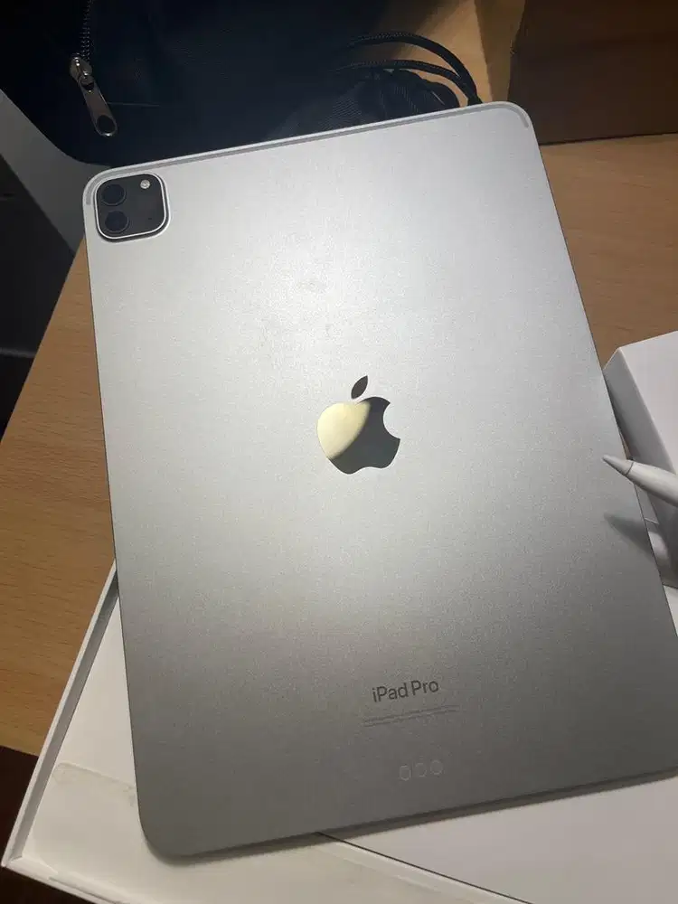 IPAD PRO M2 (include apple pen) - second like new , wifi only