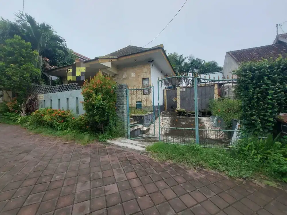 Dijual Rumah 1 Lantai Halaman Luas di Goa Gong, Jimbaran