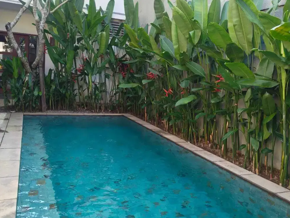 For Lease Monthly 3 Bedroom Villas Close To Padang Padang Dreamland